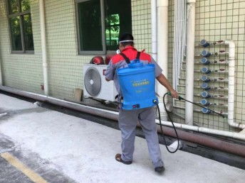 深圳臭蟲(chóng)防治 工廠、宿舍、辦公室與家庭全面消殺指南